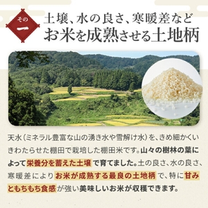 特別栽培 5kg×6か月連続お届け 棚田で育てた魚沼産コシヒカリ 令和7年 | 新潟県 魚沼 米 うちがまき絆 30キロ