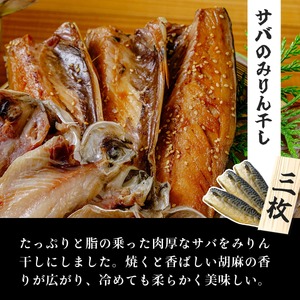 干物 厳選ひものセット 干物 025-002 