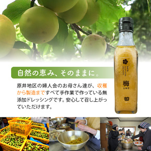 無添加手作り 梅サラダドレッシング（200ml×3本） _K02402