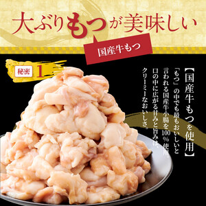 やまや　博多もつ鍋　あごだし醤油味（3～4人前）_TY0801