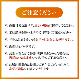 福岡県産ブランド米　夢つくし「豊築宝(ゆきほ)」5㎏_CA0101
