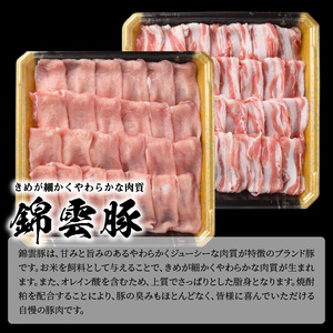 【ブランド豚肉】お米育ちの錦雲豚　しゃぶしゃぶギフト　600g（ロース300g・バラ300g）_FN0101