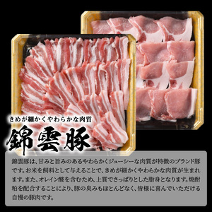 【ブランド豚肉】お米育ちの錦雲豚　焼肉ギフト　600g（ロース300g・バラ300g）_FN0201