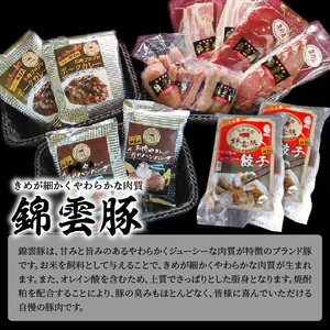【ブランド豚肉】お米育ちの錦雲豚バラエティギフト（ハム類・餃子・ハンバーグ・カレーのセット）_FN0601