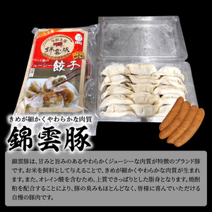 【ブランド豚肉】お米育ちの錦雲豚　手作り生餃子60個（ソーセージ1パック付き）_FN0702
