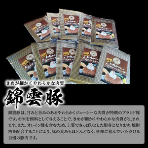 【ブランド豚肉】お米育ちの錦雲豚　お肉屋さんの手作りハンバーグ１０個_FN0802