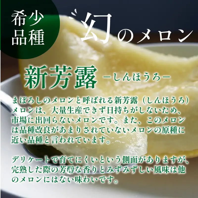 メロン／果物【先行予約／数量限定30】プレミアムメロン（新芳露・黄美香）セット（2026年7月下旬～発送）※マスクメロン（アールスメロン）系　フルーツ・メロン２玉・果物・メロンセット・ブランドメロン・メロン 
