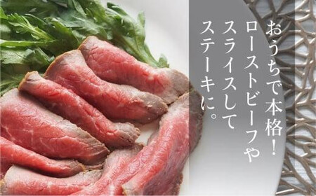 飛騨牛 赤身 霜降り ブロック肉 1kg | 真空パック ステーキ ブロック肉  FC012VC13