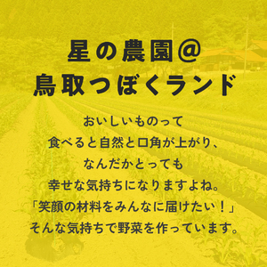 甘味究極！ 糖モロ濃シ 特大サイズ 5kg(9～12本)【とうもろこし】朝どれ直送 スイートコーン 産地直送 【配送不可地域：離島】 鳥取県日南町 星の農園