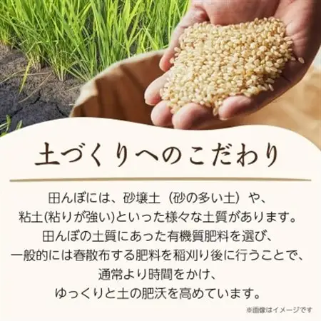 令和7年産　山形県産　雪若丸　10kg(5kg×2袋)_米 こめ 白米 精米 精白米 雪若丸 山形県 ブランド米 産地直送 人気 おすすめ 贈答 ギフト プレゼント 送料無料 お取り寄せ お米 ごはん_【1144534】