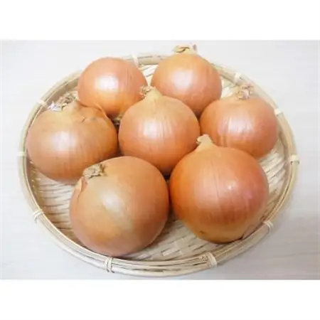 北海道長沼町産玉ねぎL大サイズ10kg_野菜 玉ねぎ  たまねぎ タマネギ_【1229123】