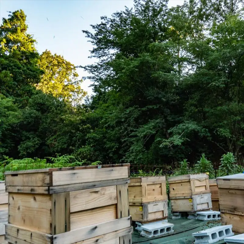 【HONEY.K】《土からつくる京都生蜂蜜》京百花 250g｜京都 はちみつ ハチミツ 人気［ 京都 蜂蜜 はちみつ ハチミツ ハニー 人気 おすすめ ギフト プレゼント グルメ お取り寄せ 通販 送料無料 ふるさと納税 ］