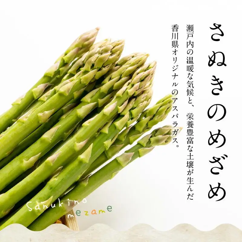 さぬきのめざめ 夏芽 約700g アスパラガス【2026-6月上旬～2026-11月上旬配送】
