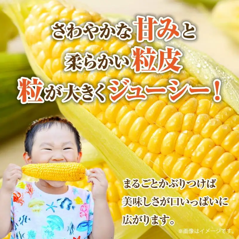 ＼寄附額改定／瀬戸内イエローコーン 約3kg【2026-6月上旬～2026-7月中旬配送】| コーン