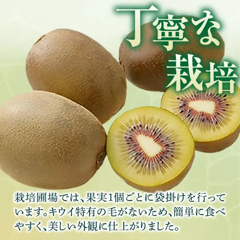 厳選大玉 さぬきエンジェルスイート 化粧箱 約1kg【2026年11月中旬～2027年1月下旬配送】