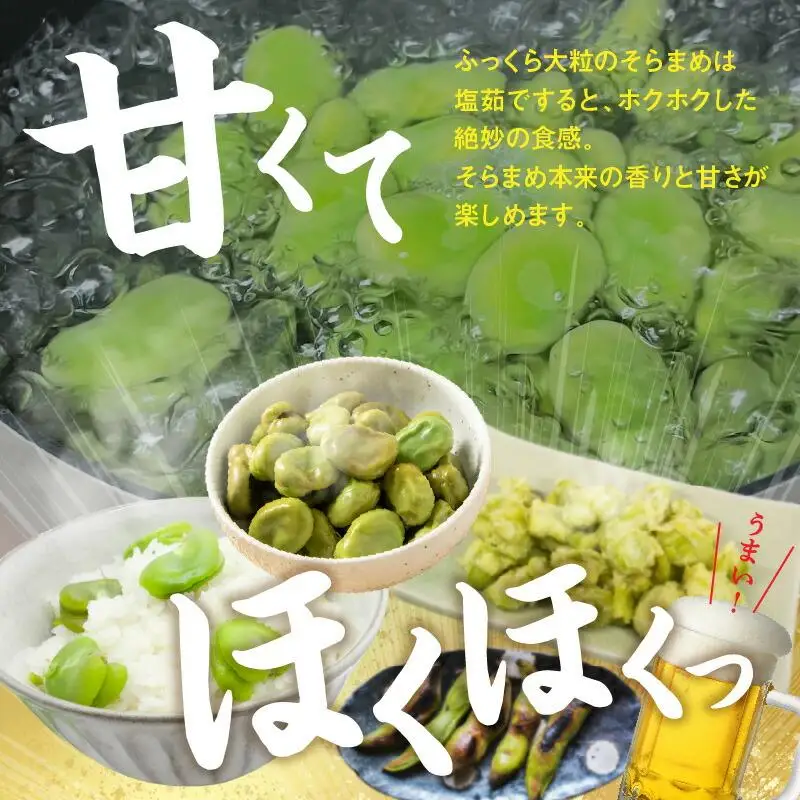 旬の味覚 そらまめ 約4kg【2026年4月下旬～2026年5月下旬配送】