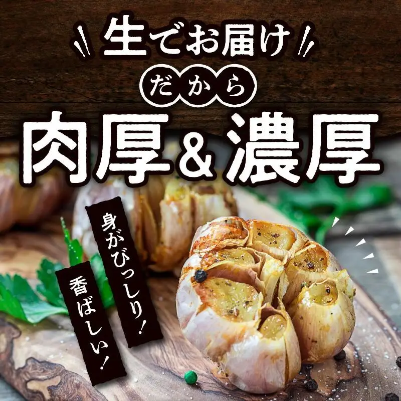 厳選大玉 生にんにく 約2.5kg【2026-5月上旬～2026-6月上旬配送】 | にんにく