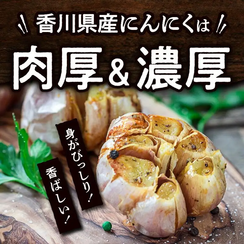 訳あり ご家庭用 乾燥にんにく 約3kg(高松市)【2026年6月下旬～2026年8月下旬配送】｜にんにく