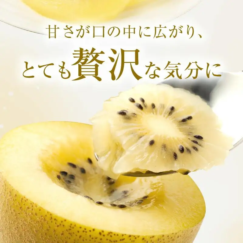 さぬきゴールドキウイ化粧箱　約1.4kg【2026年10月中旬～2027年1月下旬配送】