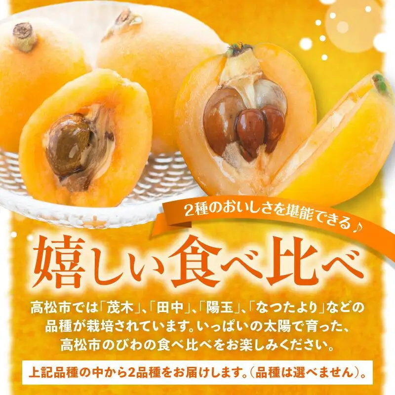 びわの食べ比べセット 約2kg【2026年5月上旬～2026年6月中旬配送】| びわ