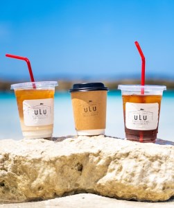【粉】挽きたてコーヒー200g(深煎り)インドネシア・マンデリン