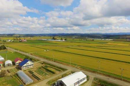 【無洗米6ヶ月定期便】特別栽培米ゆきひかり2kg×3袋