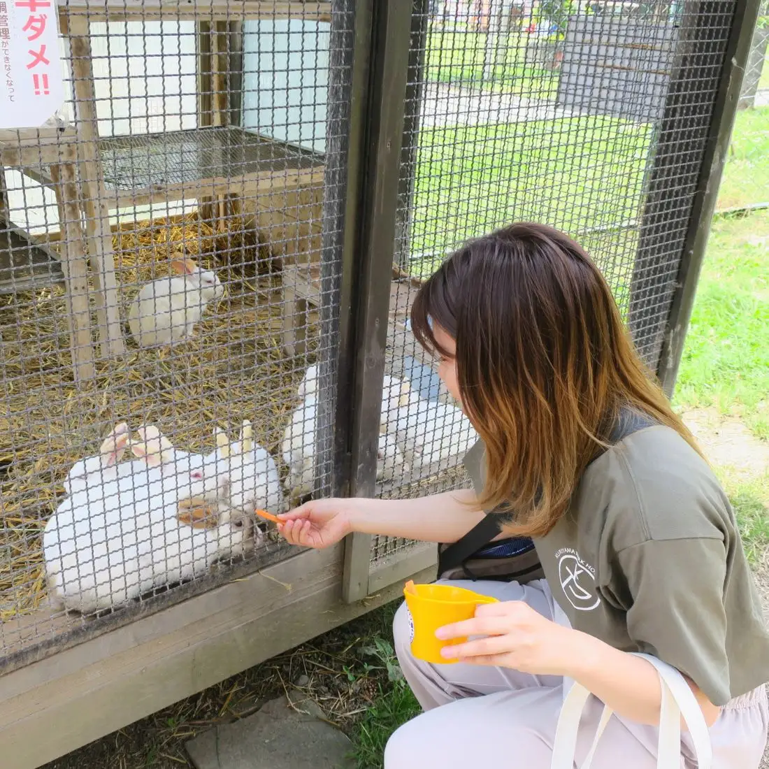 栗山公園「なかよし動物園」パクパクタイム回数券（6回分）2枚セット