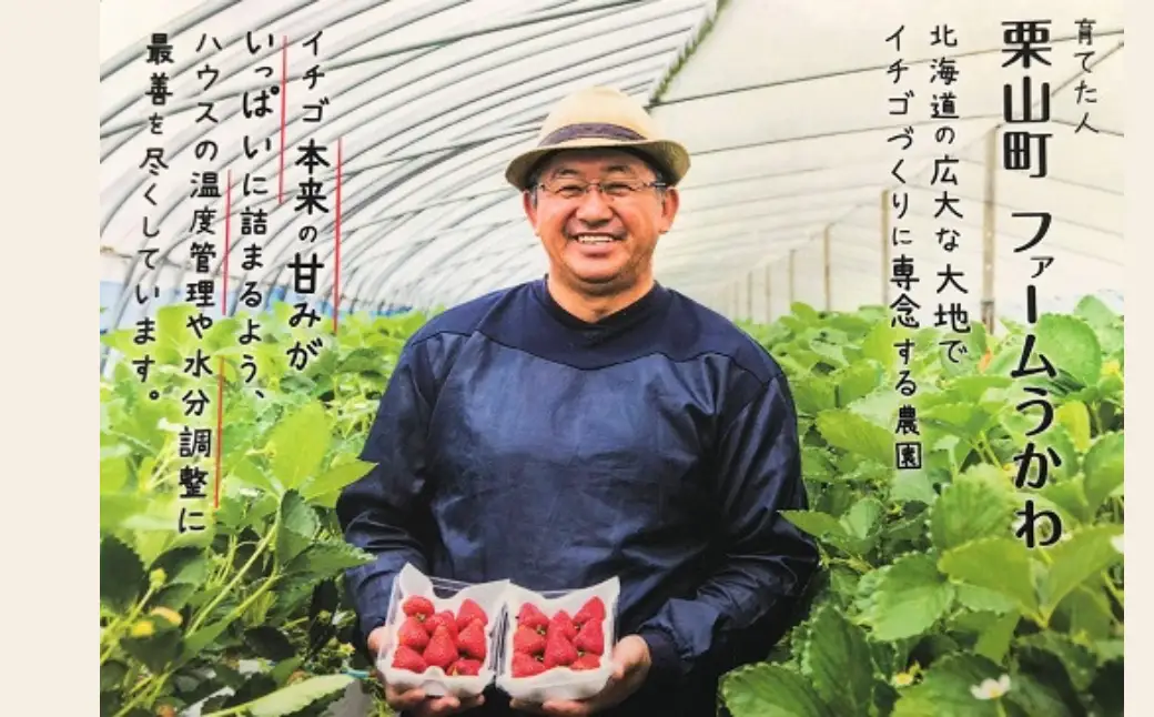 ファームうかわの冷凍いちご2kg