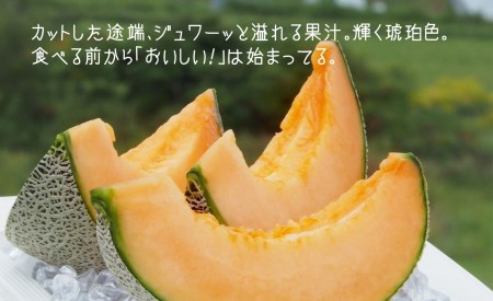 豊潤な香り「特選甘熟キングメロン」2玉