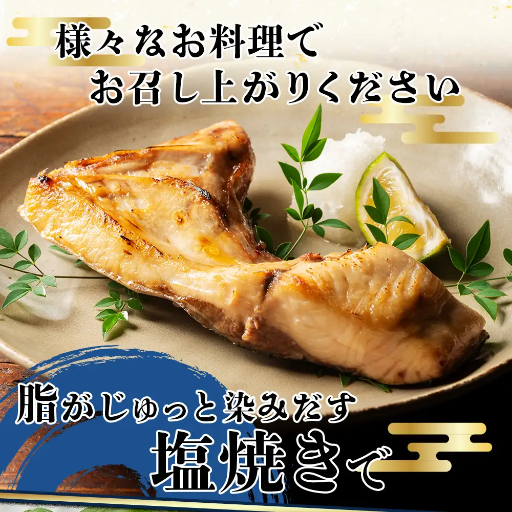 ブリカマ 1kg 伊勢志摩産 城水産 