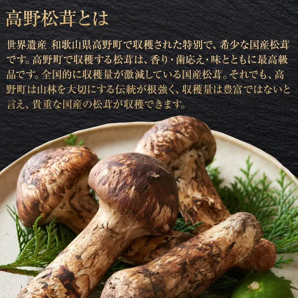 ［2026年発送分］希少な国産松茸「高野松茸」200g　香り・歯応え・味ともに最高級！［化粧箱入］［MG92］