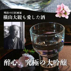 醉心山根本店「究極の醉心 大吟醸」ワイングラスでおいしい日本酒 720ml 020002