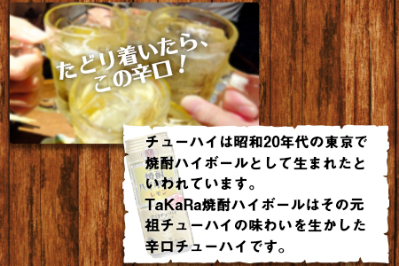 ＜TaKaRa 焼酎ハイボール レモン 500ml×24本＞翌月末迄に順次出荷【c832_kr_x3】