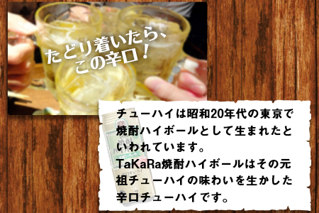 ＜TaKaRa 焼酎ハイボール シークヮーサー 500ml×24本 沖縄缶＞翌月末迄に順次出荷【c835_kr_x3】