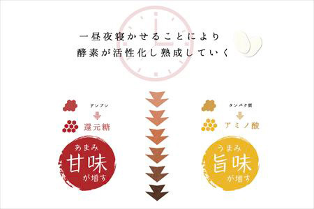 令和7年産 (熟成米) 佐賀県唐津産 さがびより 5kg×2(合計10kg) ご飯 ごはん 白米 お米 コメ