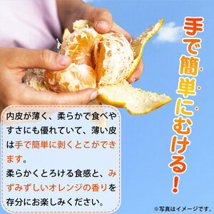 G7353_【2027年先行予約】とろける食感！ジューシー柑橘 せとか 3kg