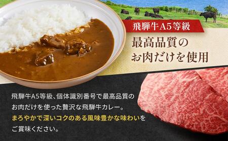 飛騨牛A5等級 カレー（2食）＆ 飛騨旨豚（バラ1食・もも1食）カレー 食べ比べセット  AK005