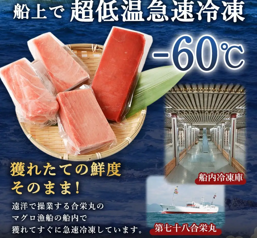 本マグロ 小分け 計約600g  【まぐろ】
