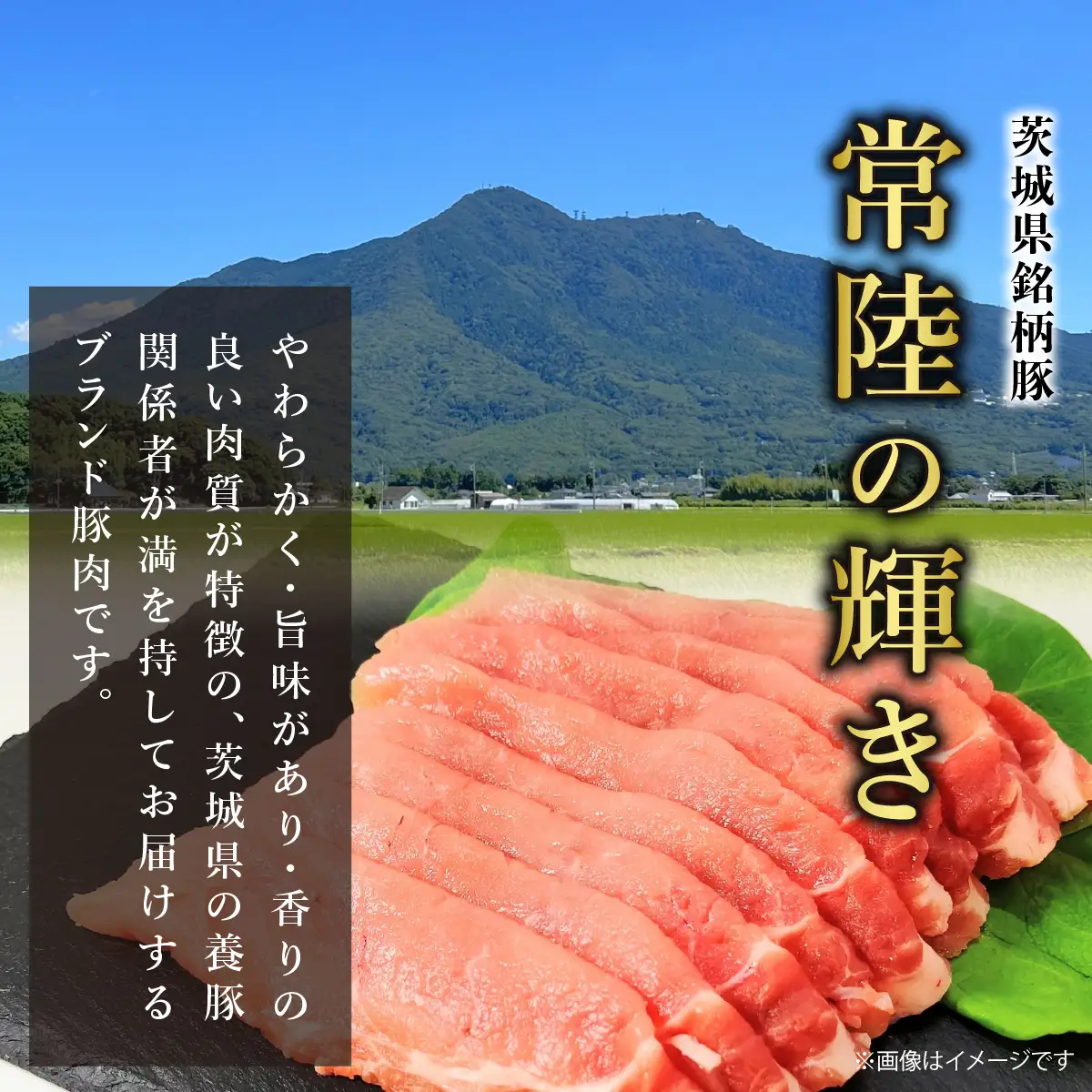 常陸の耀きしゃぶしゃぶセット 2～3人前 涸沼のしじみのだし汁付き _肉 しゃぶしゃぶ 牛肉 牛しゃぶ  惣菜・加工品 肉 鍋 なべ ナベ_【配送不可地域：離島】【1211886】