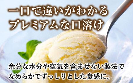 プレミアムアイスクリーム（12個入り） 【cafe du glace】 [ATCL003]