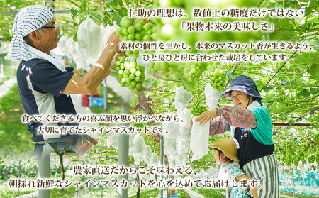 山形市産 シャインマスカット 特秀 1房 800g以上【前半】  FZ21-909