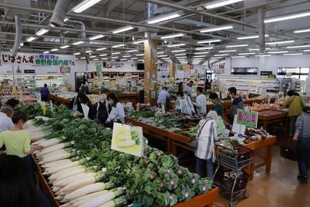 野菜 セット じばさんずの野菜セット 006-05