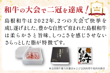三瓶の極み 島根和牛A5 焼肉用500g