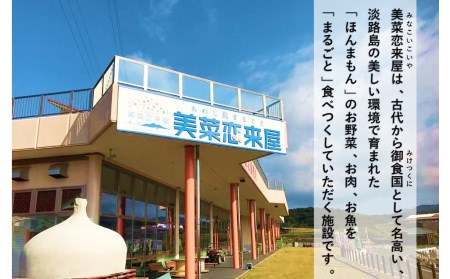 【美菜恋来屋】ほんまもん淡路島野菜BOX（小）