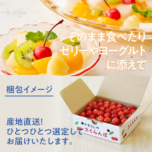 【2026年先行予約】さくらんぼ 500g（特秀品・2L 以上）　さくらんぼ 佐藤錦 紅秀峰 [h052]