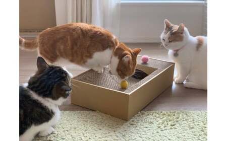 楕円型・お椀型 猫のつめとぎ4連タイプ 2種類セット F4N-1278