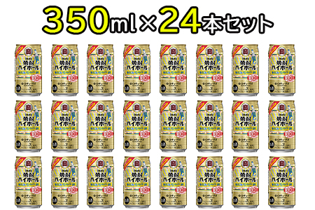 ＜宝 焼酎ハイボール 強烈塩レモンサイダー350ml×24本＞翌月末迄に順次出荷【c842_yu_x2】