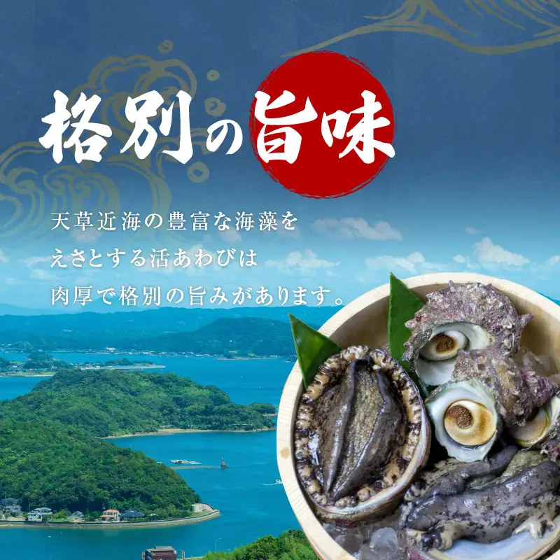 S002-017A_天草産 活あわび・さざえ　浜焼きセット　　約2～3人前