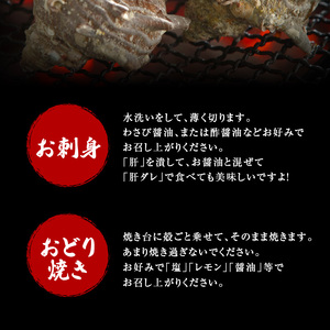 S002-018A_活さざえ　1kg超え！　約3人前