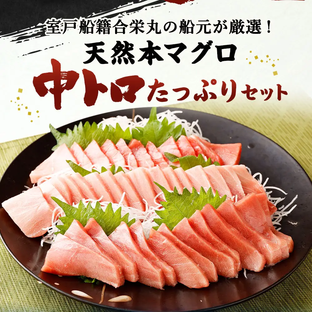 天然マグロ 2種 約600g 【まぐろ】ge005